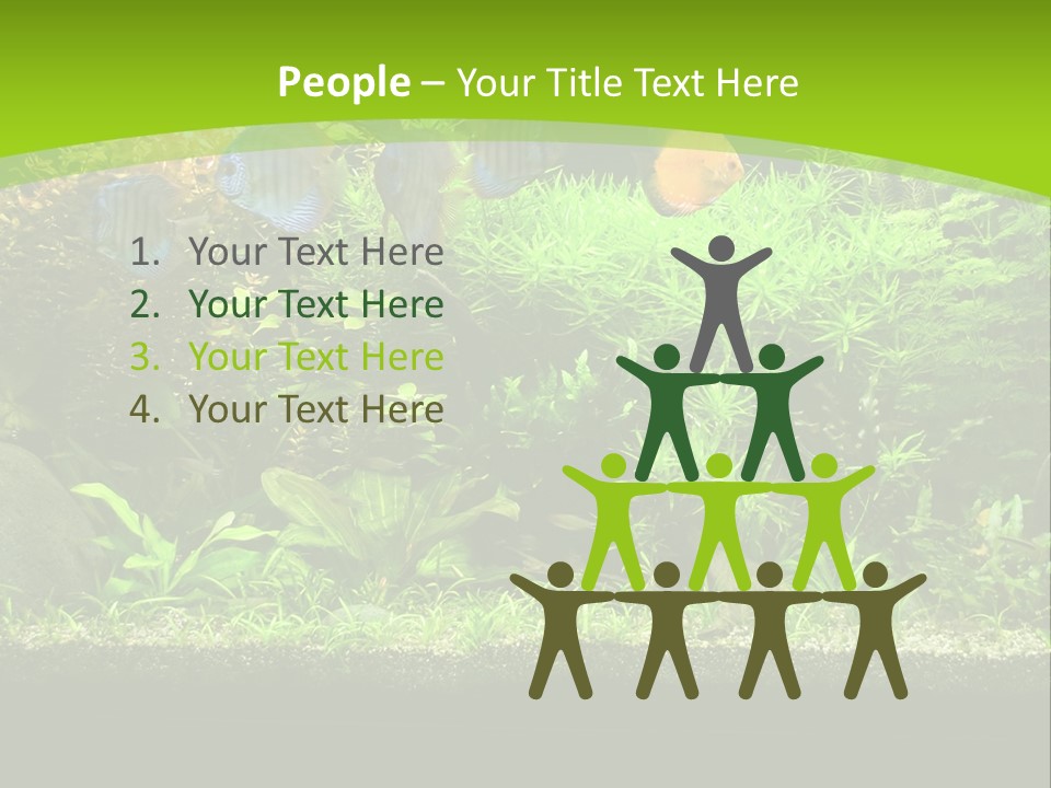 Underwater Fish Bright PowerPoint Template