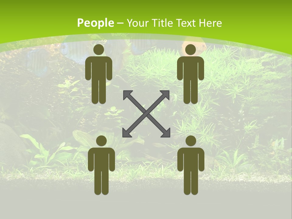 Underwater Fish Bright PowerPoint Template