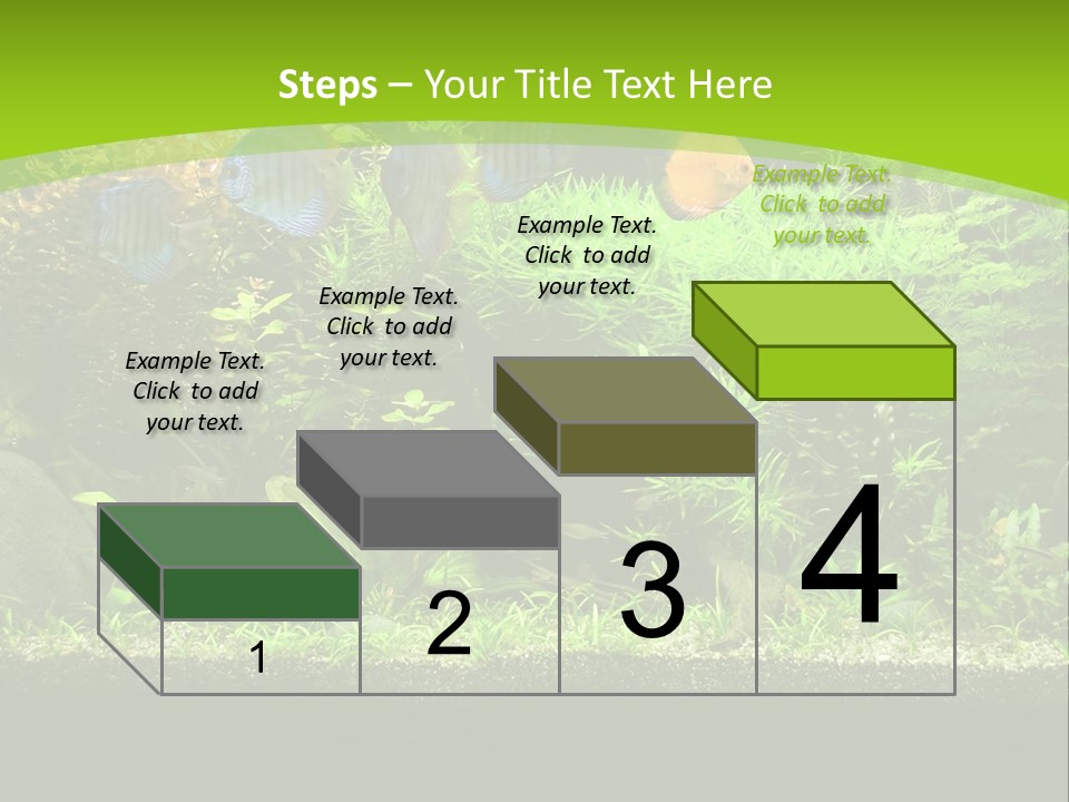 Underwater Fish Bright PowerPoint Template