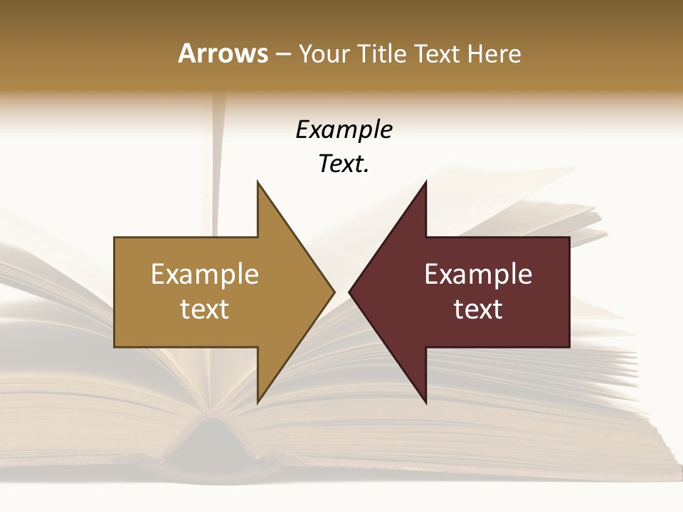 Retro Arrangement Novel PowerPoint Template