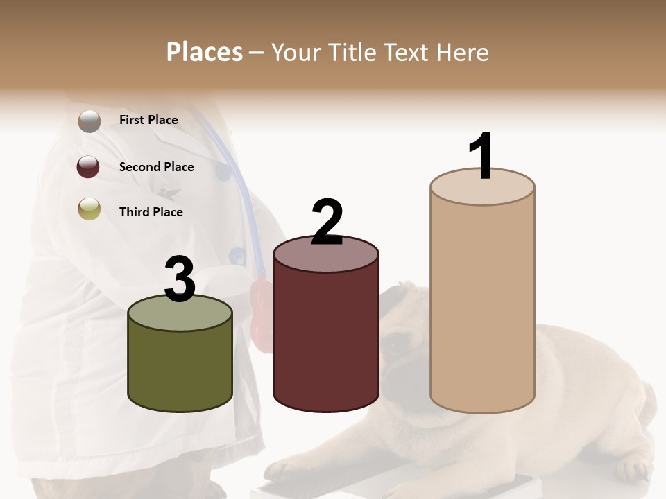 Adorable Scales Purebred PowerPoint Template