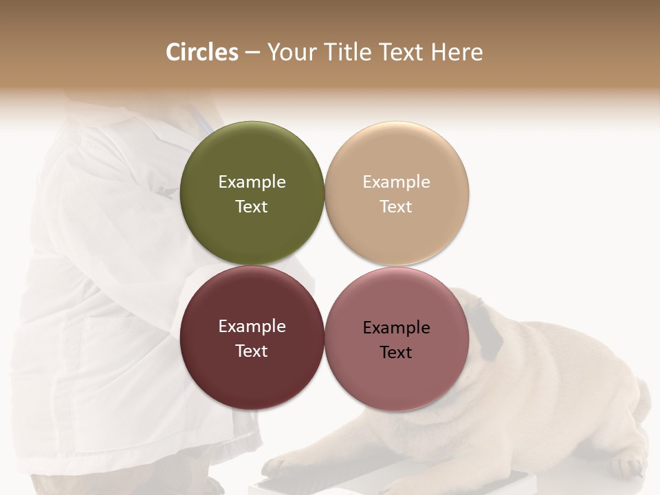 Adorable Scales Purebred PowerPoint Template