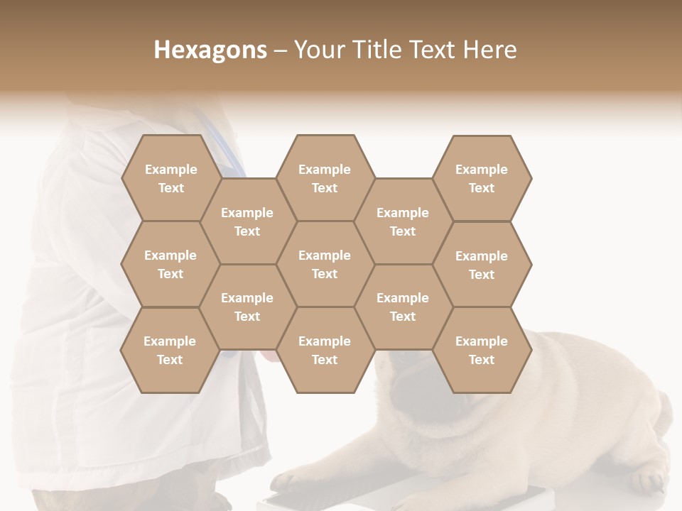 Adorable Scales Purebred PowerPoint Template