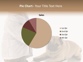 Adorable Scales Purebred PowerPoint Template