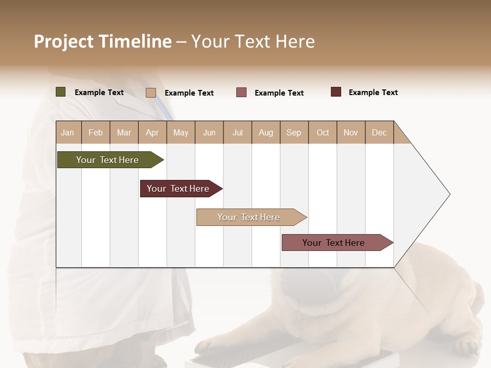 Adorable Scales Purebred PowerPoint Template