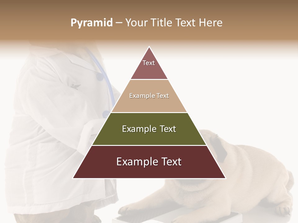 Adorable Scales Purebred PowerPoint Template