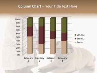 Adorable Scales Purebred PowerPoint Template