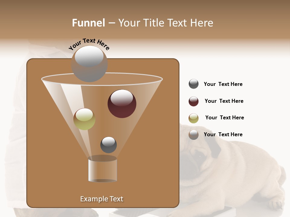 Adorable Scales Purebred PowerPoint Template