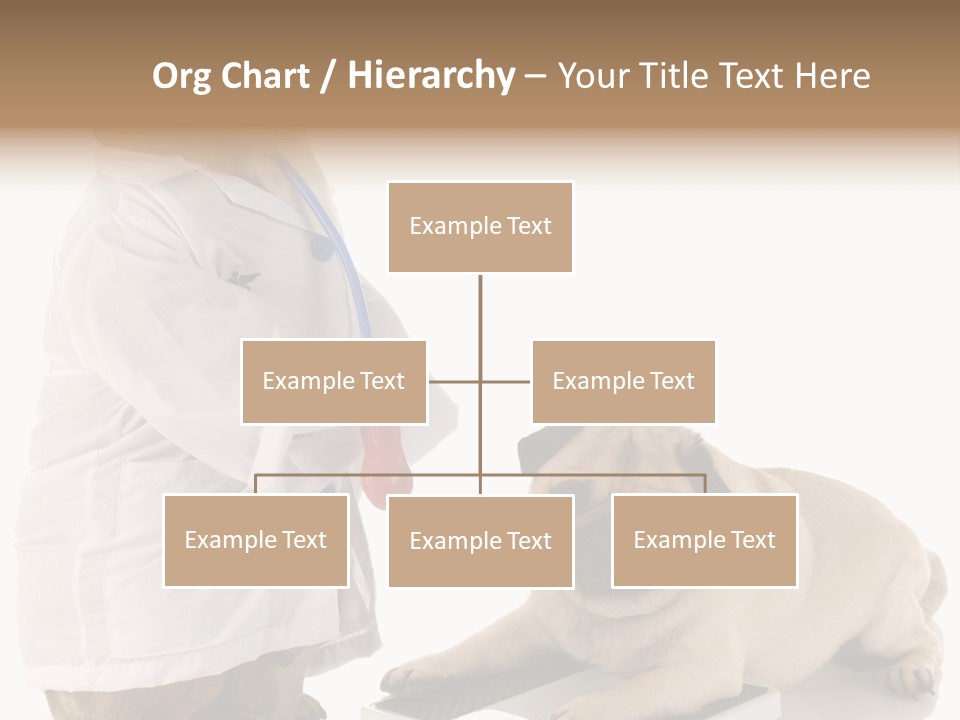 Adorable Scales Purebred PowerPoint Template