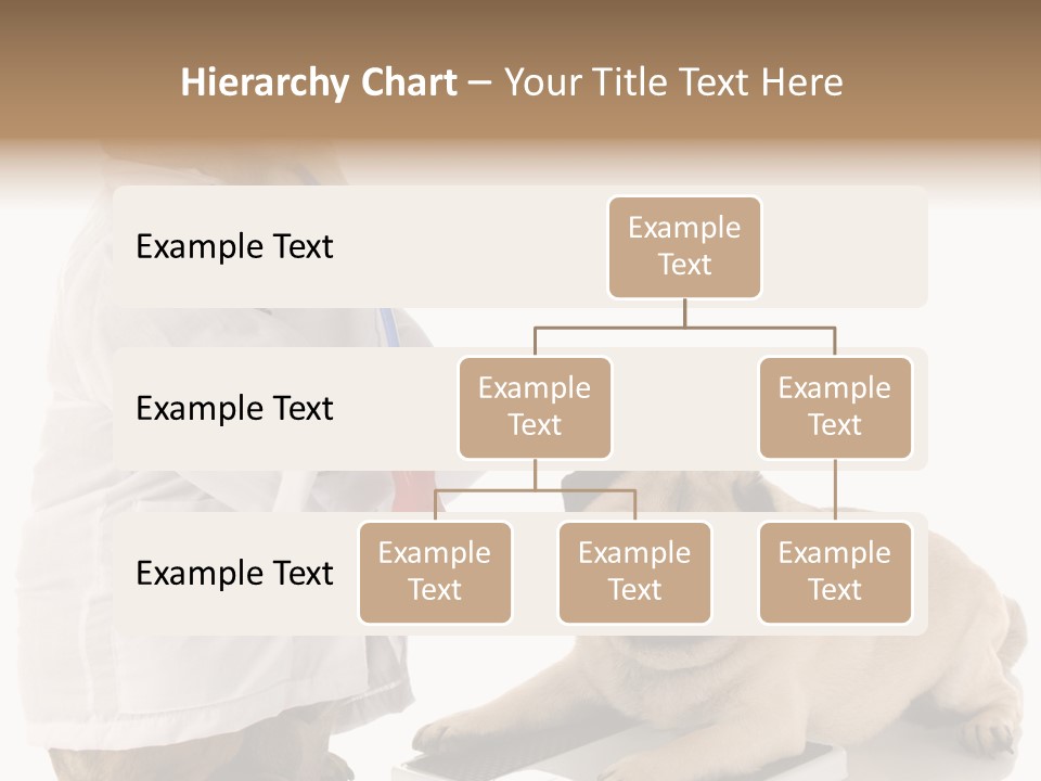 Adorable Scales Purebred PowerPoint Template
