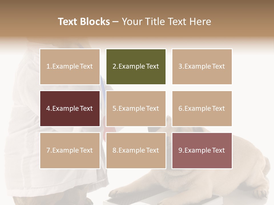 Adorable Scales Purebred PowerPoint Template