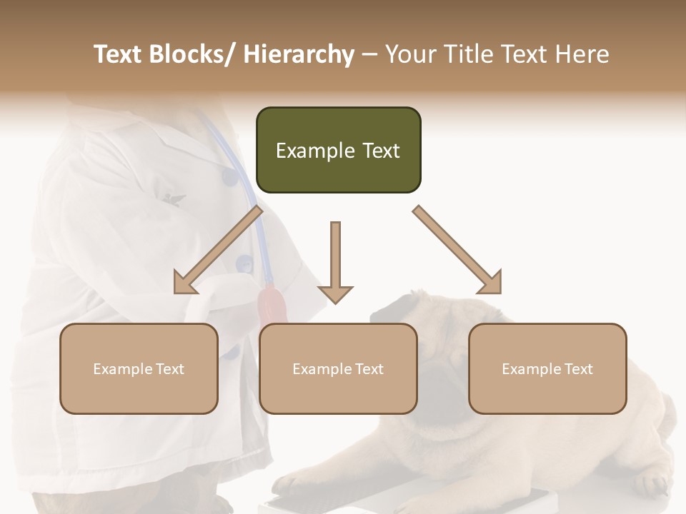 Adorable Scales Purebred PowerPoint Template