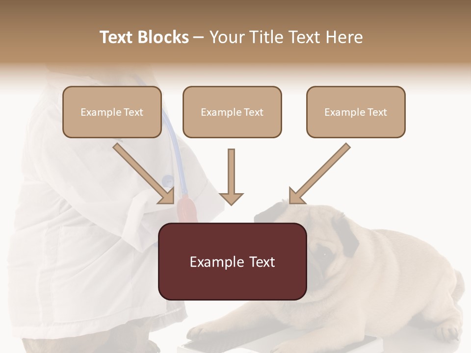 Adorable Scales Purebred PowerPoint Template