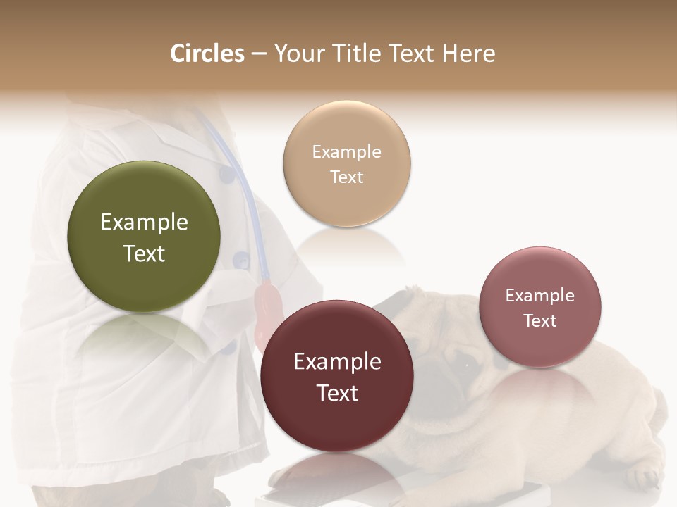 Adorable Scales Purebred PowerPoint Template