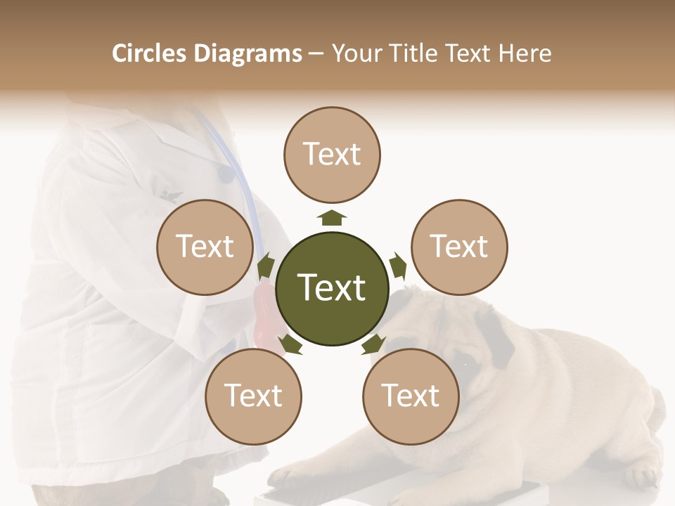 Adorable Scales Purebred PowerPoint Template