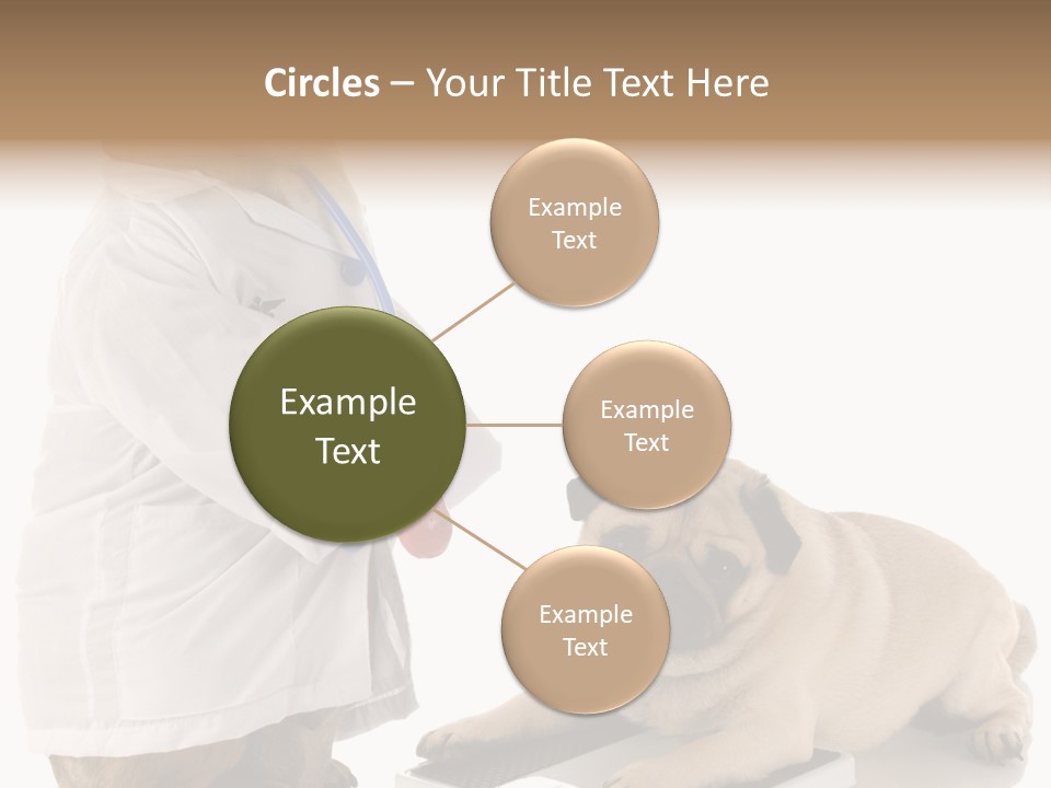 Adorable Scales Purebred PowerPoint Template