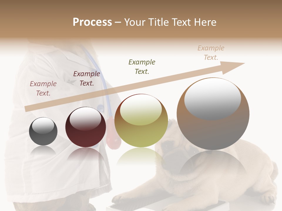 Adorable Scales Purebred PowerPoint Template