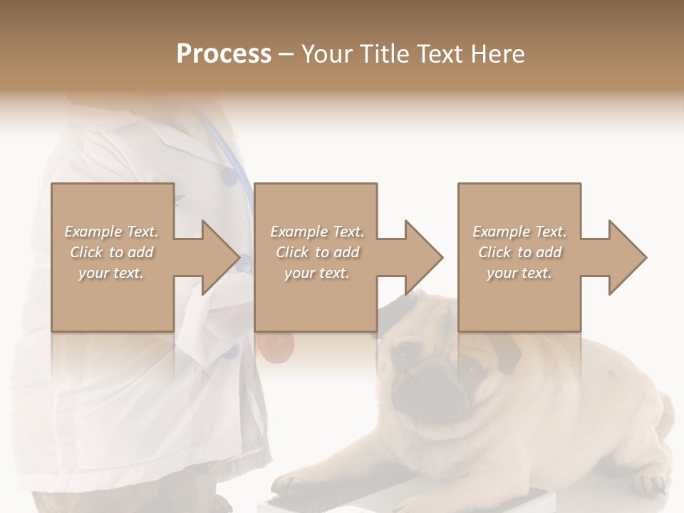 Adorable Scales Purebred PowerPoint Template