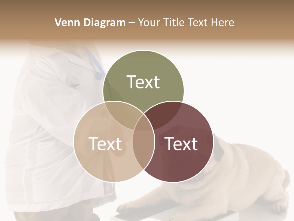 Adorable Scales Purebred PowerPoint Template