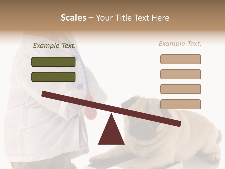 Adorable Scales Purebred PowerPoint Template