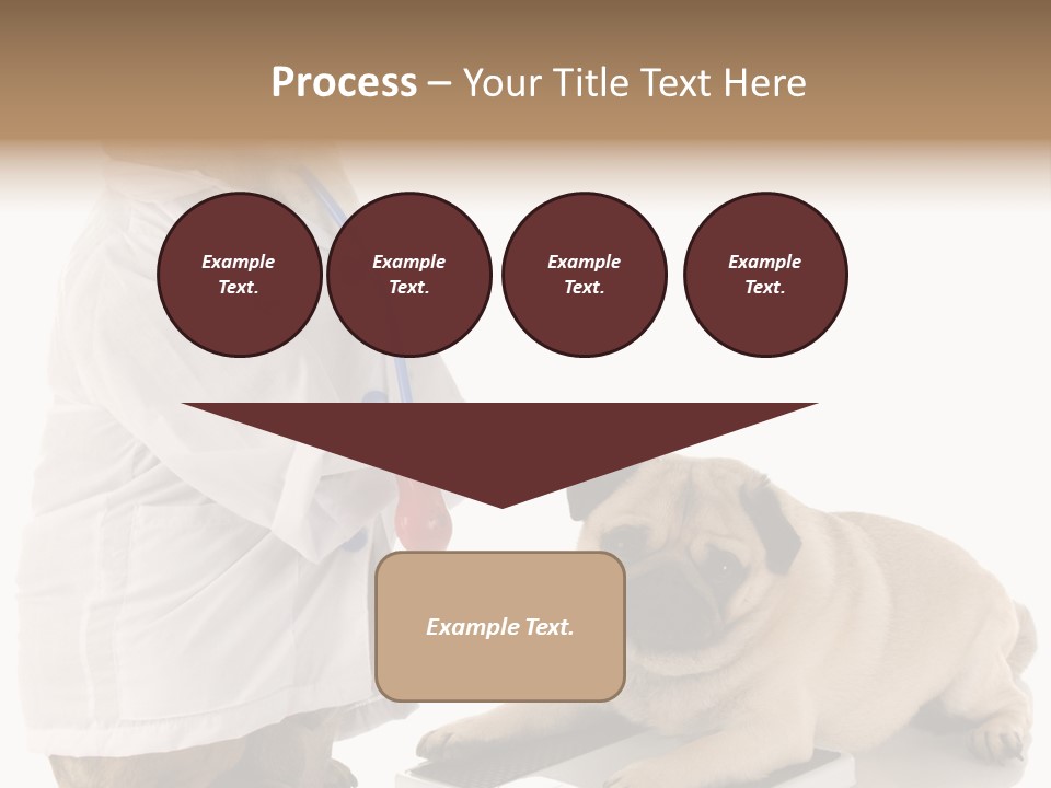 Adorable Scales Purebred PowerPoint Template