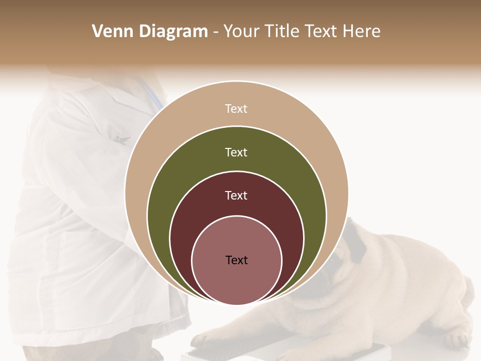 Adorable Scales Purebred PowerPoint Template