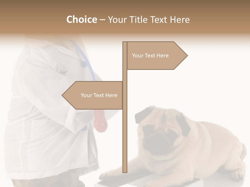 Adorable Scales Purebred PowerPoint Template