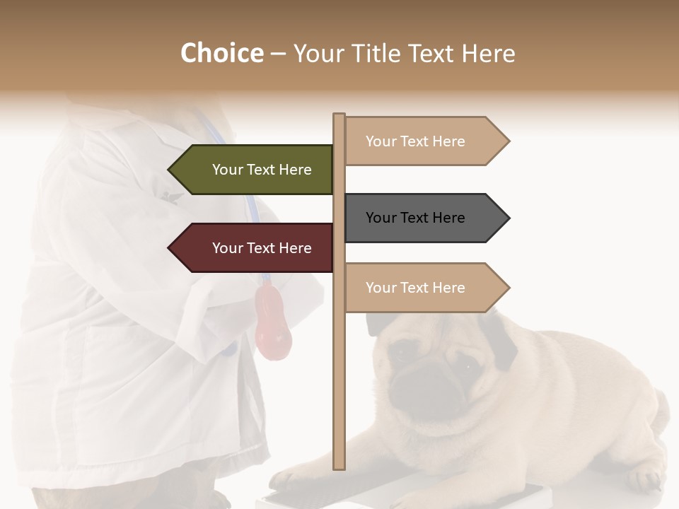Adorable Scales Purebred PowerPoint Template