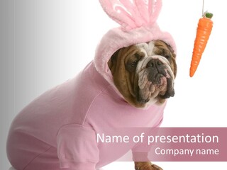 Puppy Animal Emotion PowerPoint Template