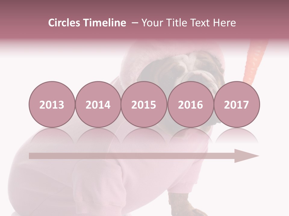 Puppy Animal Emotion PowerPoint Template