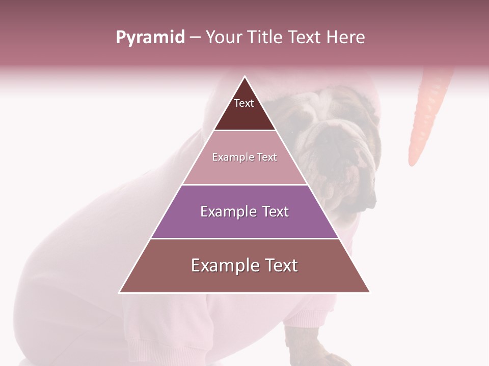 Puppy Animal Emotion PowerPoint Template