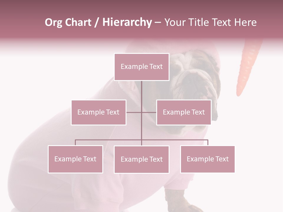 Puppy Animal Emotion PowerPoint Template