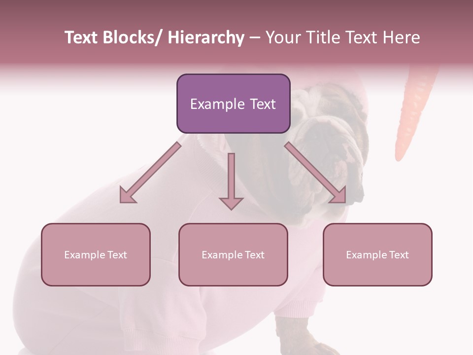 Puppy Animal Emotion PowerPoint Template