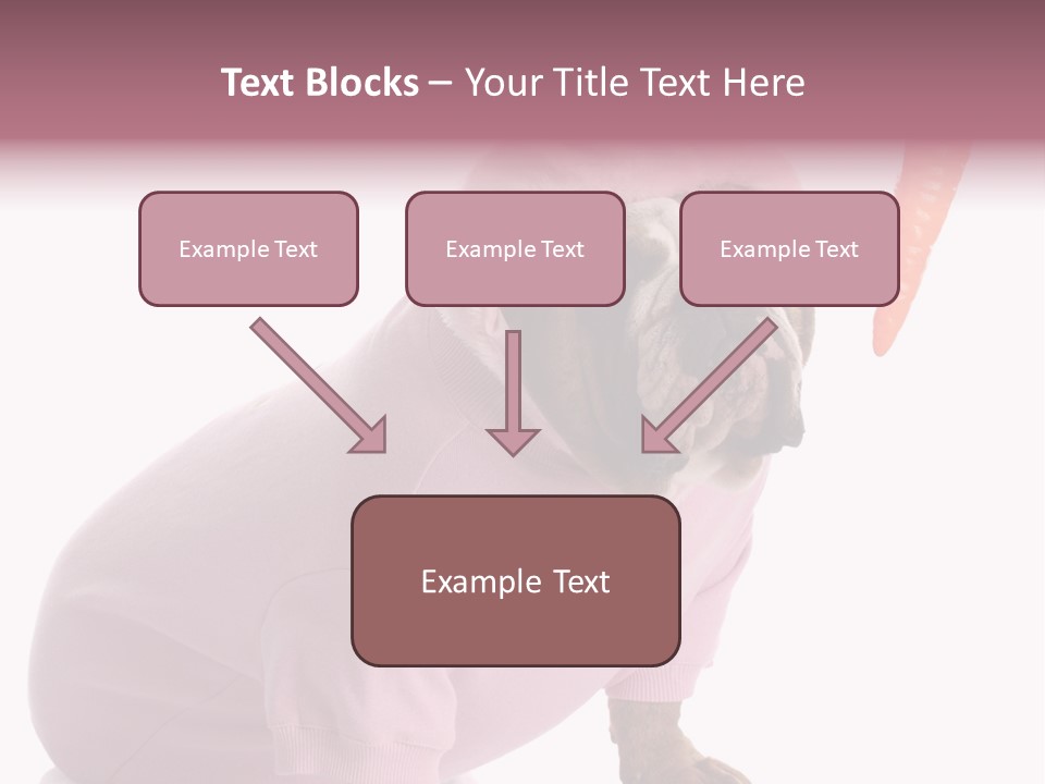 Puppy Animal Emotion PowerPoint Template