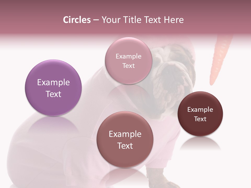 Puppy Animal Emotion PowerPoint Template