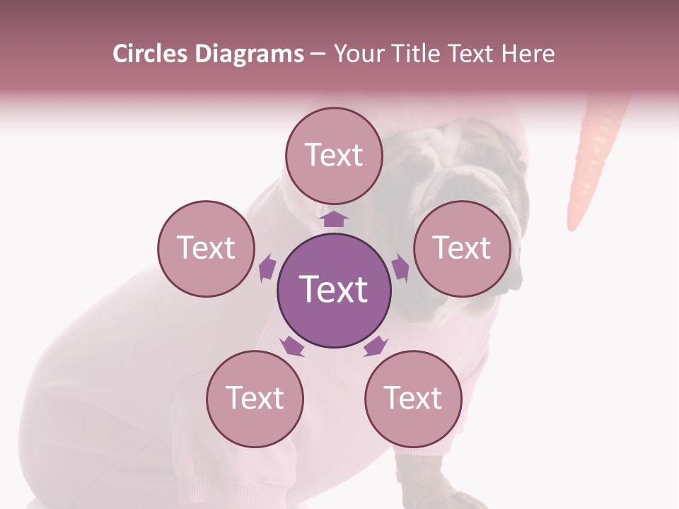 Puppy Animal Emotion PowerPoint Template