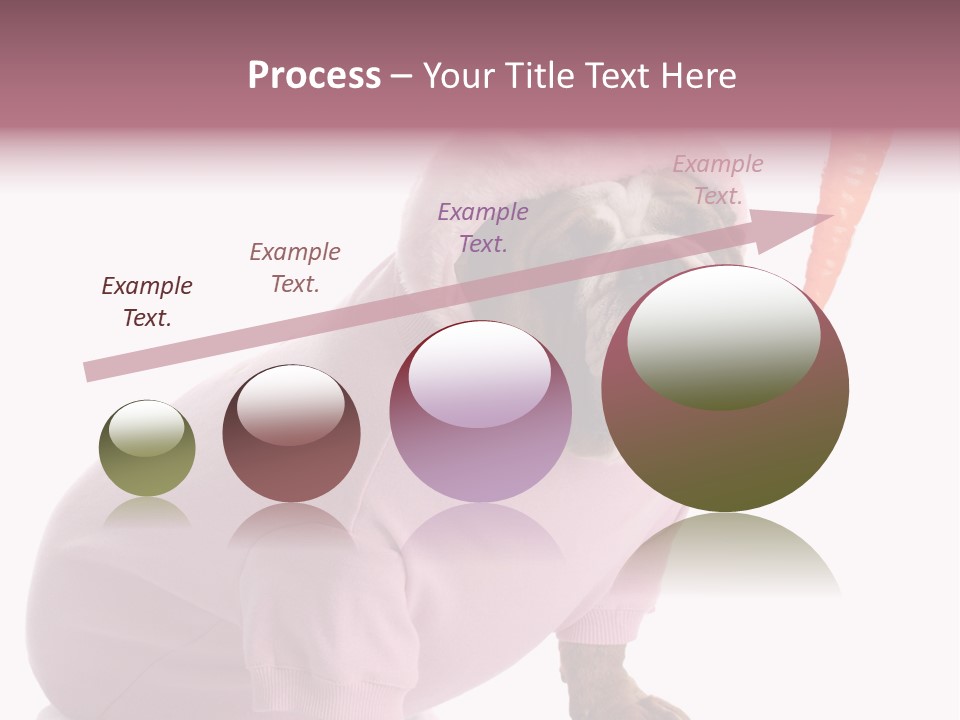 Puppy Animal Emotion PowerPoint Template