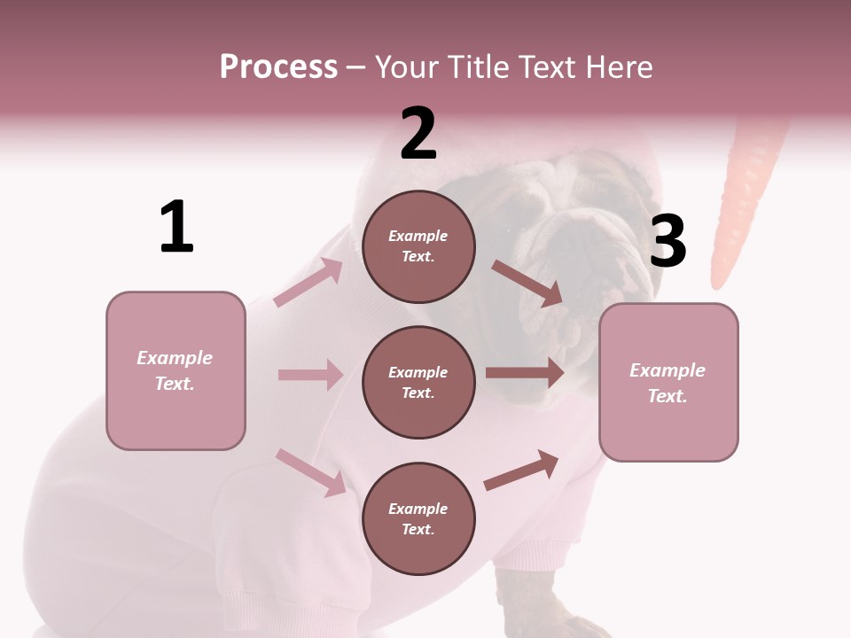 Puppy Animal Emotion PowerPoint Template