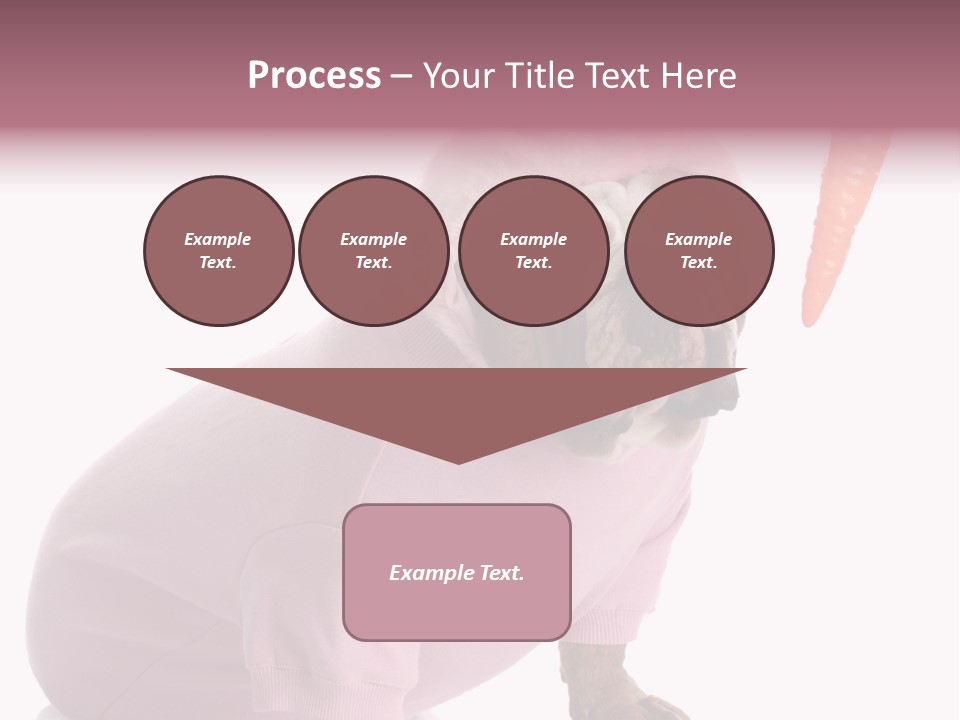 Puppy Animal Emotion PowerPoint Template