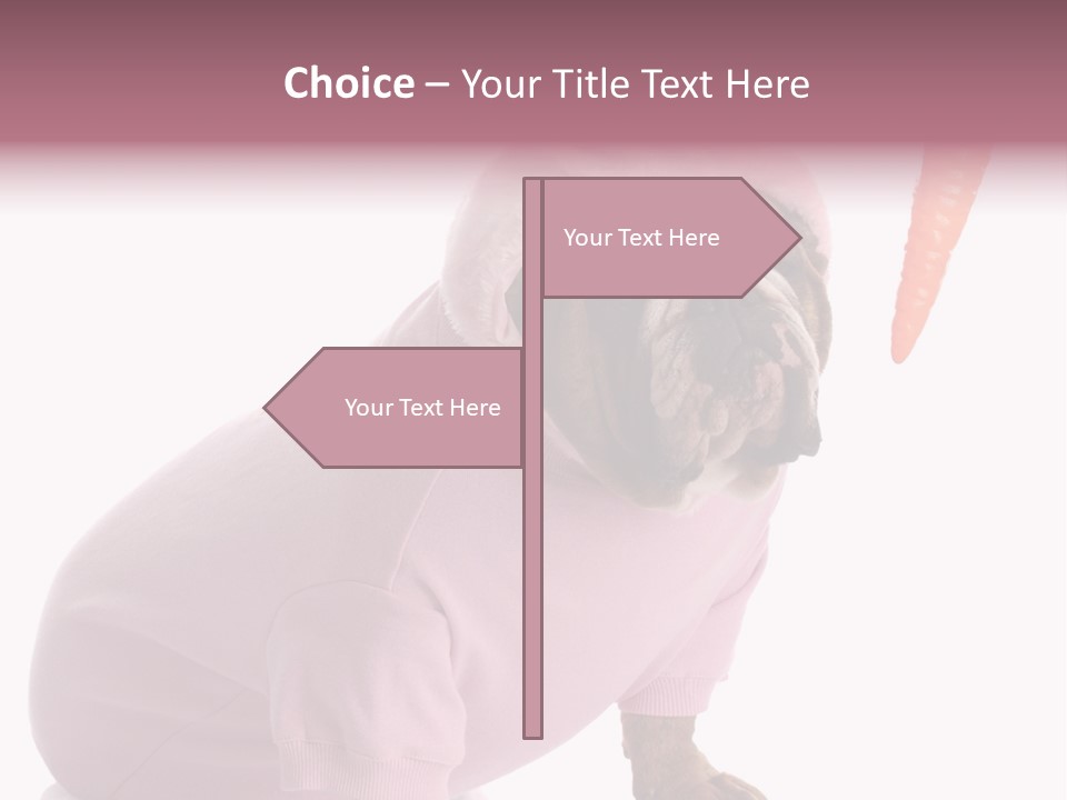 Puppy Animal Emotion PowerPoint Template