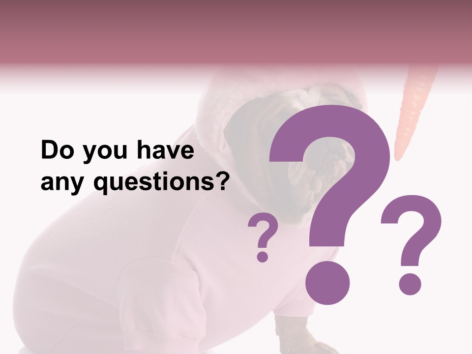 Puppy Animal Emotion PowerPoint Template