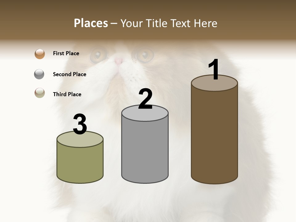 A Brown And White Cat Sitting On Top Of A Table PowerPoint Template