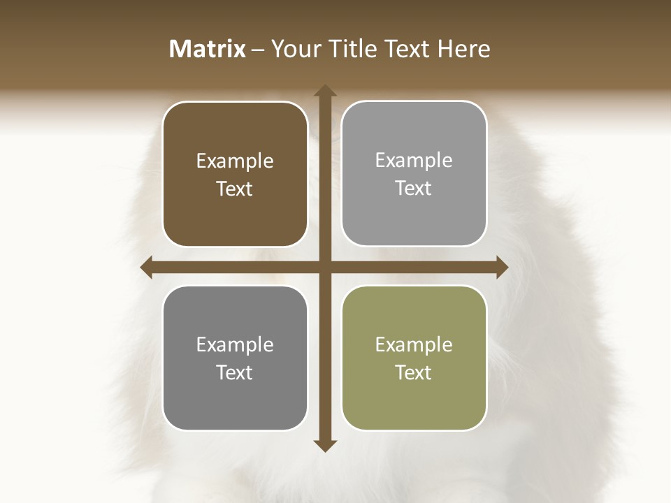 A Brown And White Cat Sitting On Top Of A Table PowerPoint Template