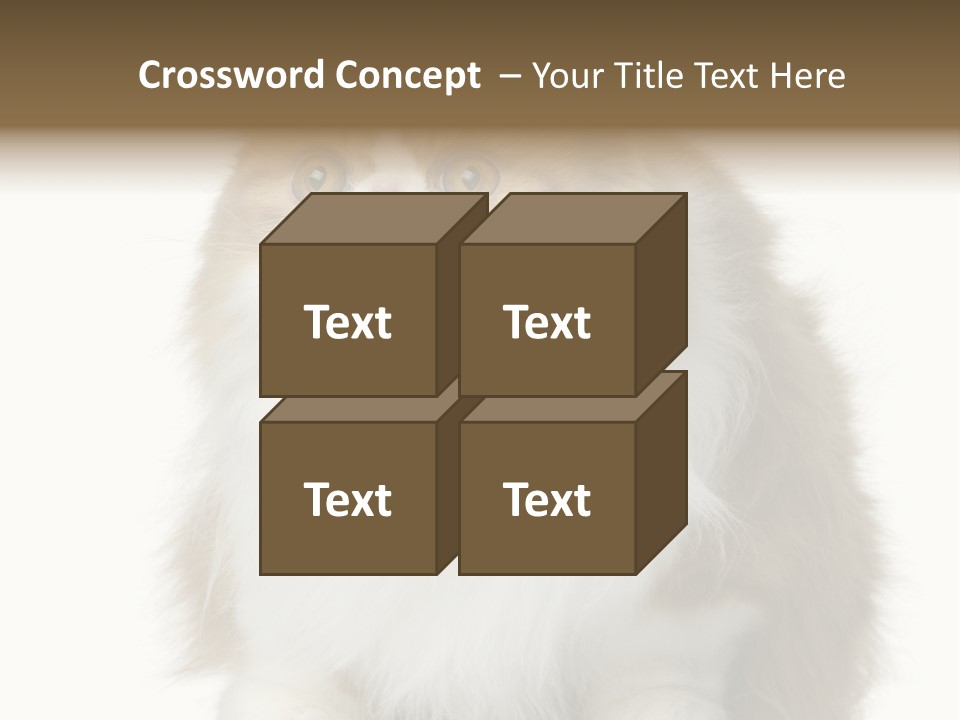 A Brown And White Cat Sitting On Top Of A Table PowerPoint Template