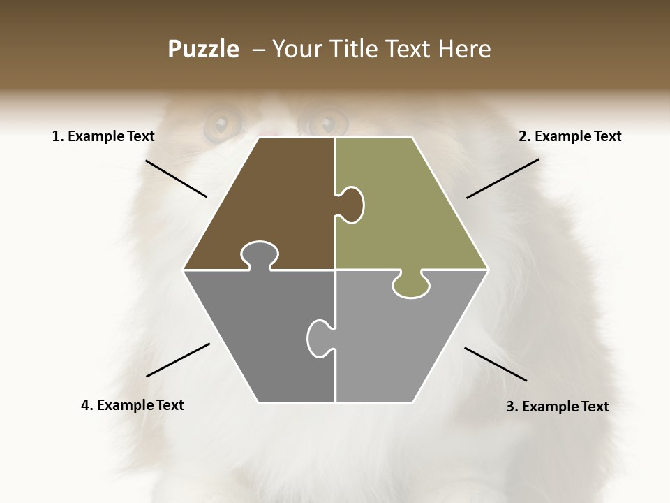 A Brown And White Cat Sitting On Top Of A Table PowerPoint Template