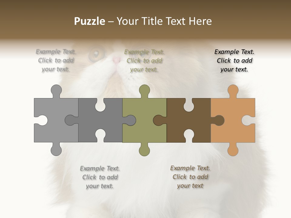 A Brown And White Cat Sitting On Top Of A Table PowerPoint Template