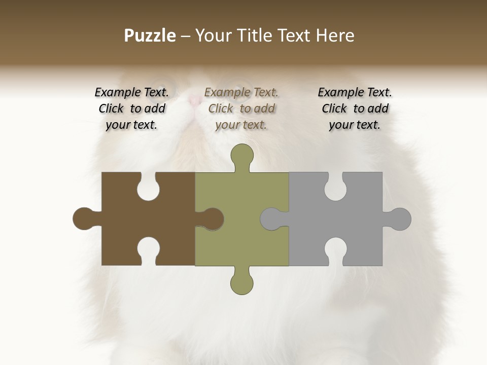 A Brown And White Cat Sitting On Top Of A Table PowerPoint Template