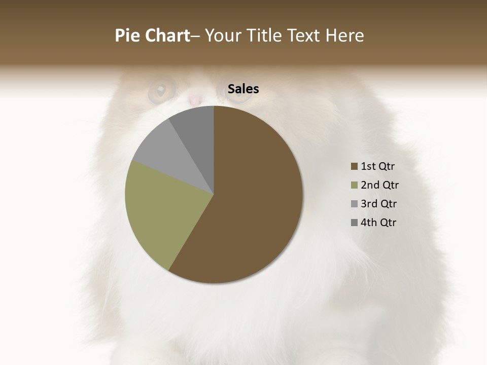 A Brown And White Cat Sitting On Top Of A Table PowerPoint Template
