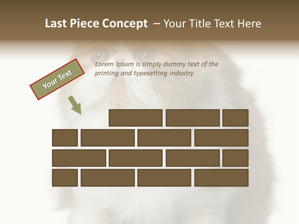 A Brown And White Cat Sitting On Top Of A Table PowerPoint Template