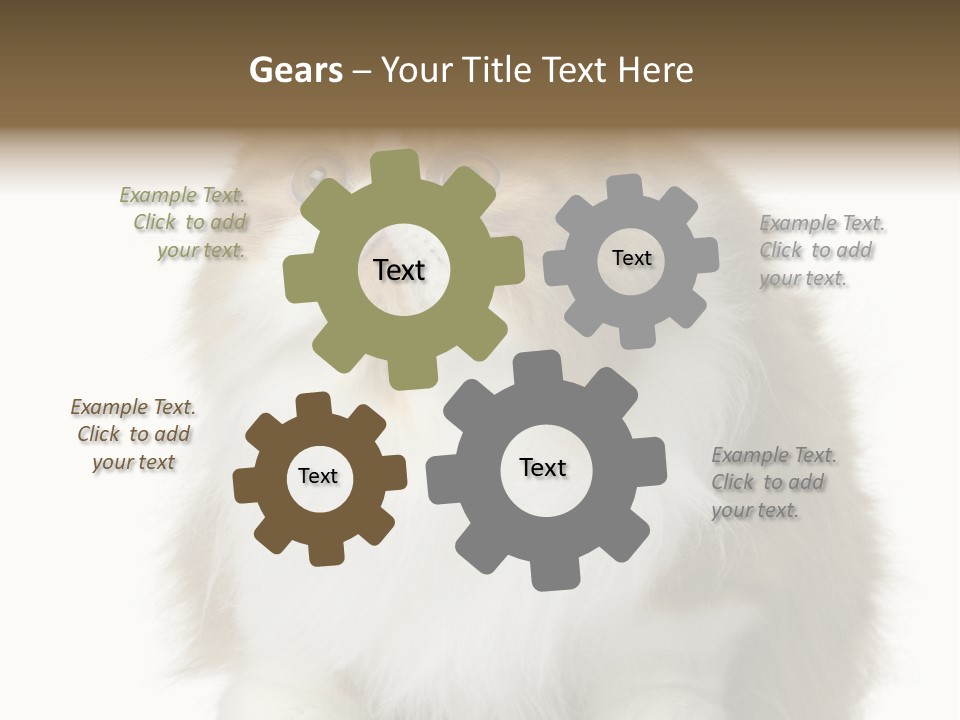 A Brown And White Cat Sitting On Top Of A Table PowerPoint Template